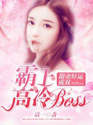 霸上高冷boss:甜妻好孕成双