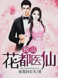 极品花都医仙(神针侠医)