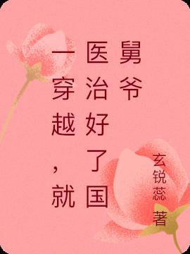 一穿越,就医治好了国舅爷