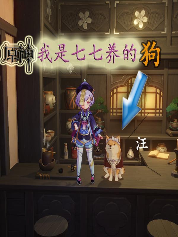 原神:我是七七养的狗