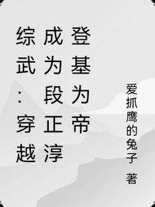 综武:穿越成为段正淳登基为帝