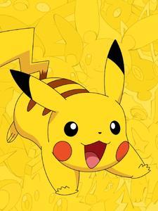 宝可梦:这个训练家脑子有坑