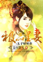 极品皇妻:太子好奸诈