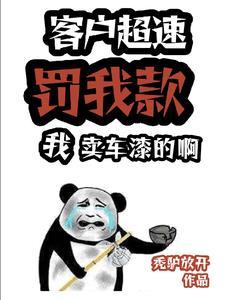 顾客超速罚我款?我卖车漆的啊!