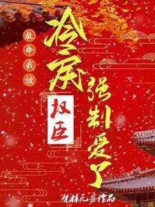 摄政王,我只是个侍卫