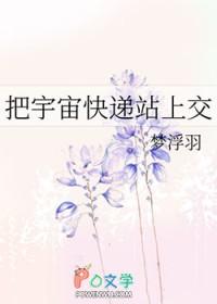 把宇宙快递站上交