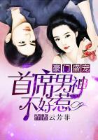 豪门盛宠:首席男神不好惹