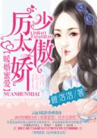 暖婚蜜爱:厉少太傲娇